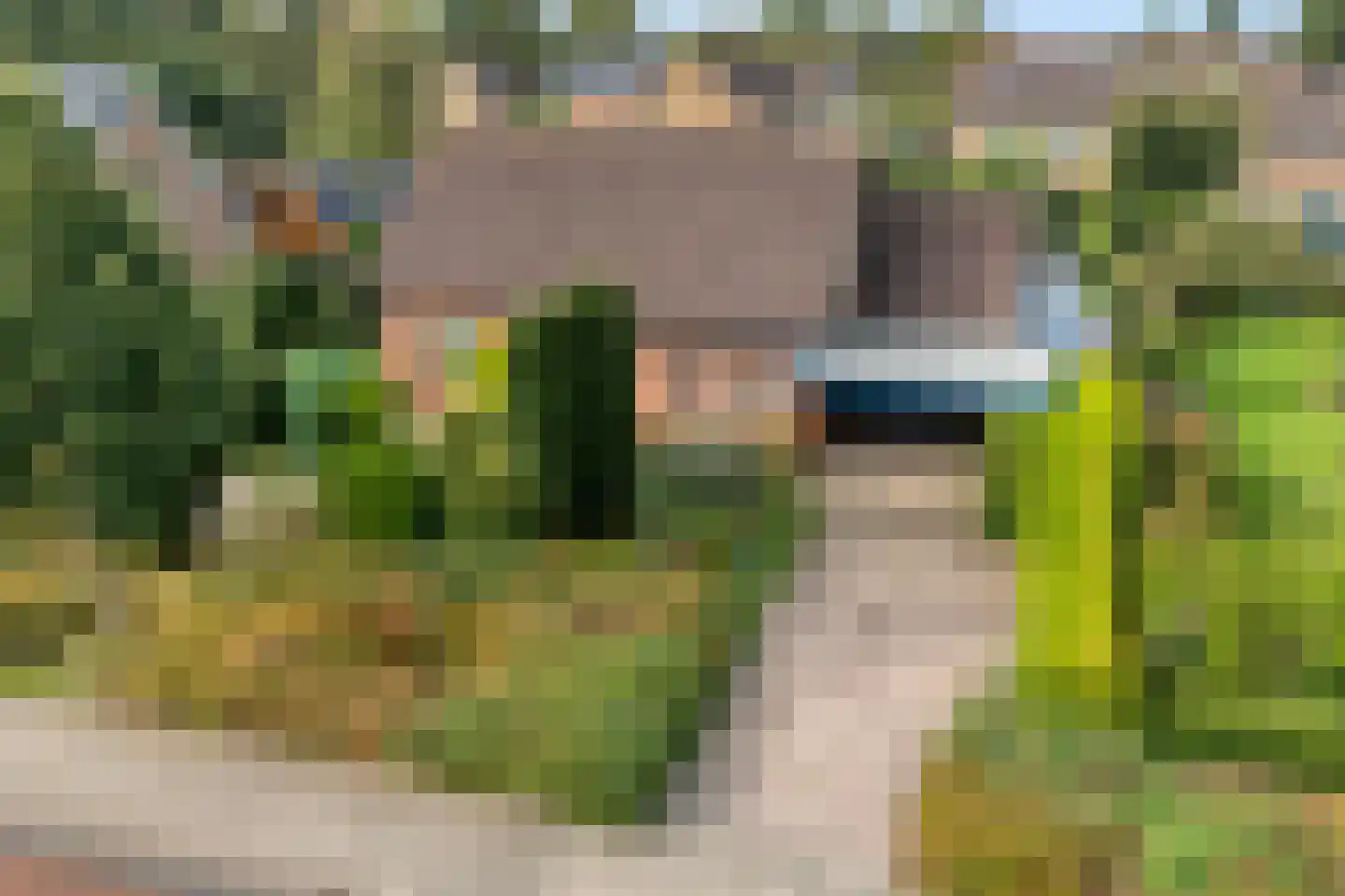 Kon.Julianalaan 81 Nieuwleusen thumbnail 47
