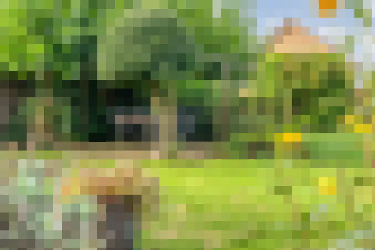 Kon.Julianalaan 81 Nieuwleusen thumbnail 48
