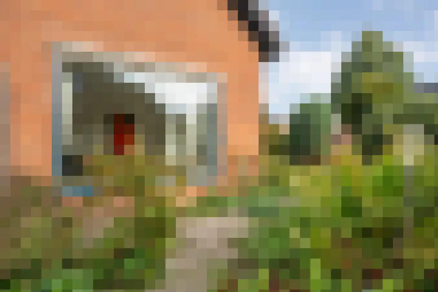 Kon.Julianalaan 81 Nieuwleusen thumbnail 49