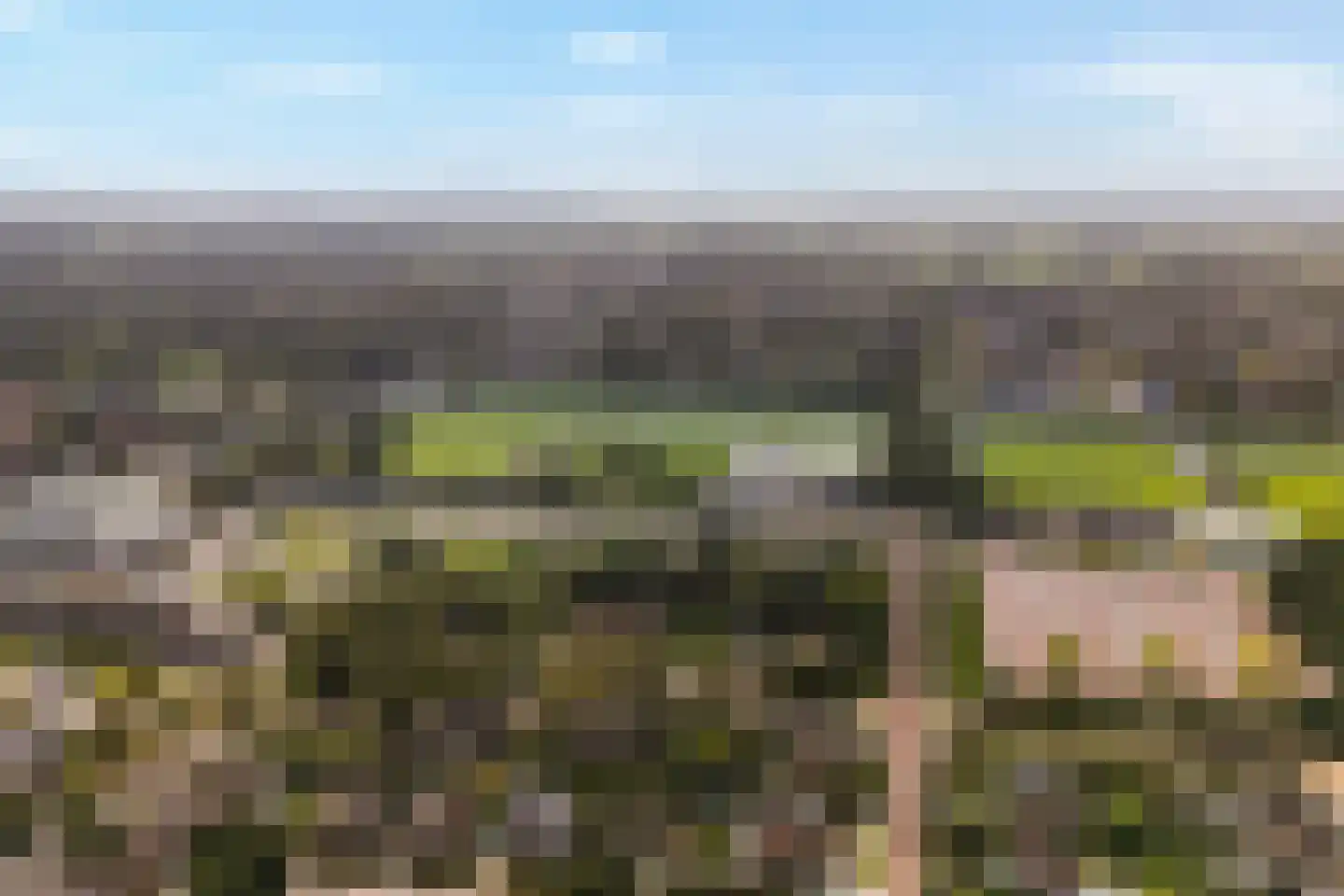 Kon.Julianalaan 81 Nieuwleusen thumbnail 55