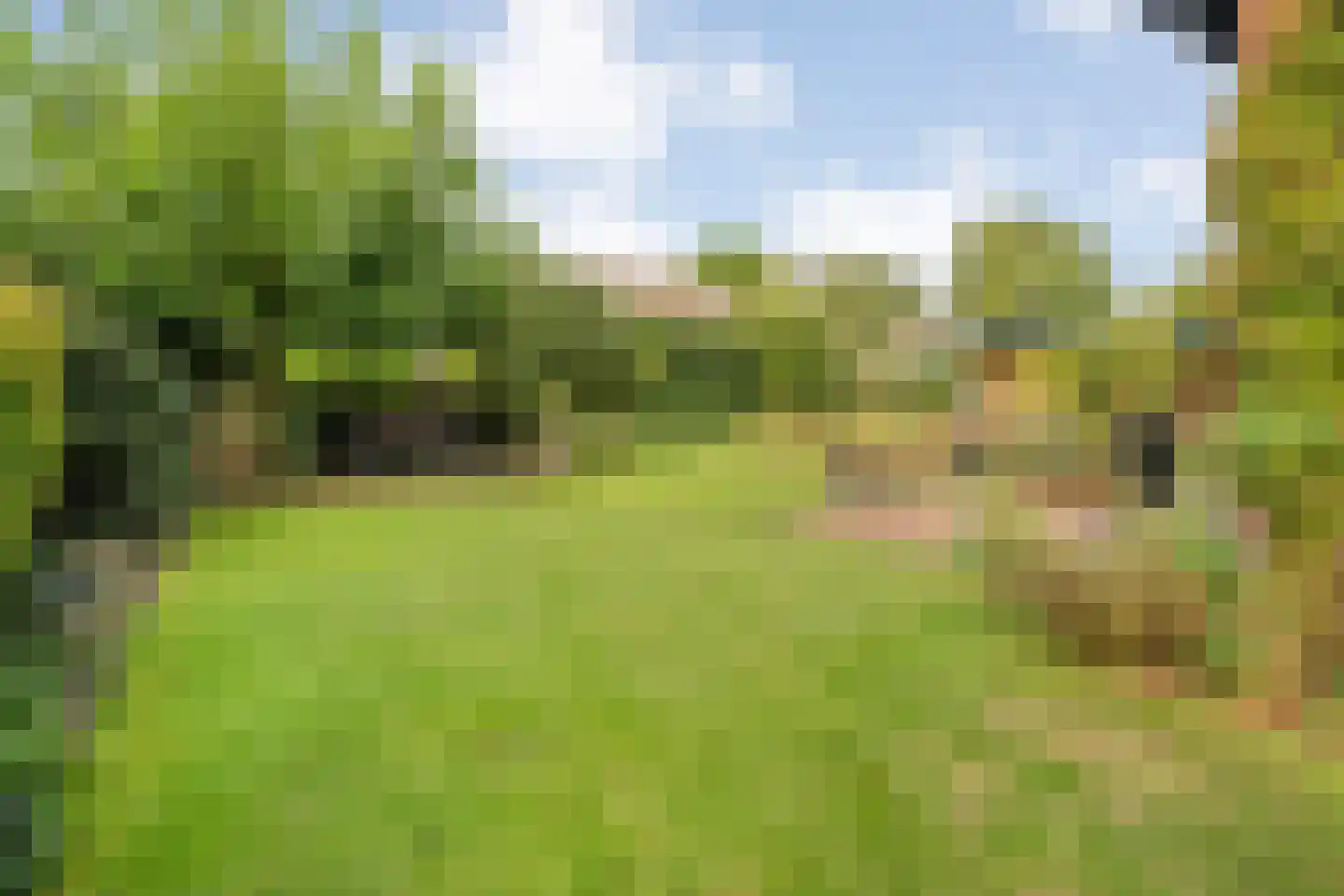 Kon.Julianalaan 81 Nieuwleusen thumbnail 6