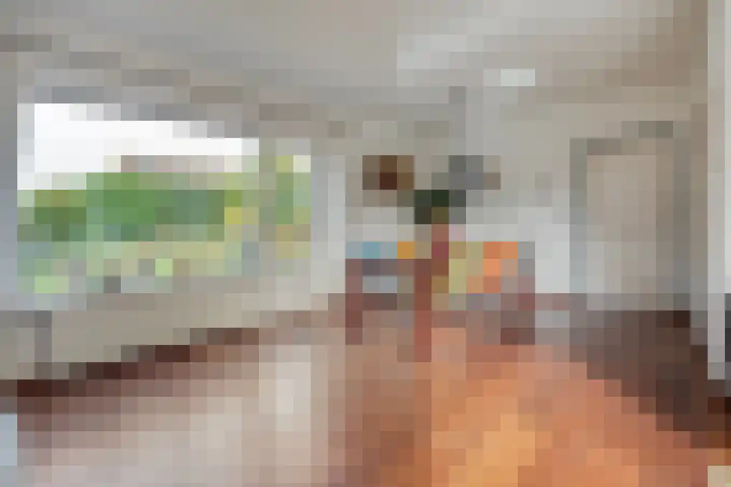 Kon.Julianalaan 81 Nieuwleusen thumbnail 9