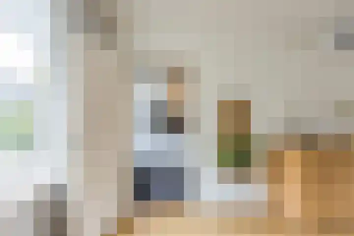 Kon.Julianalaan 93 Nieuwleusen thumbnail 11