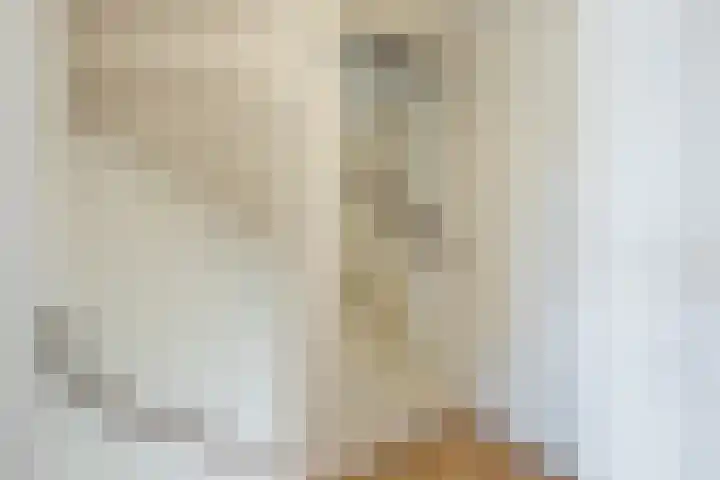 Kon.Julianalaan 93 Nieuwleusen thumbnail 15