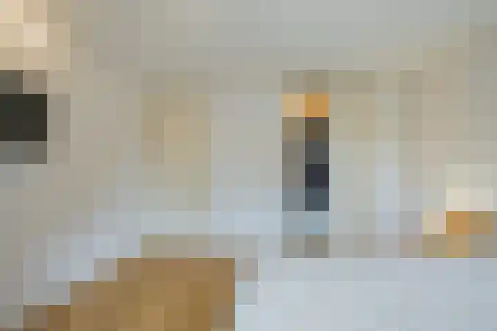 Kon.Julianalaan 93 Nieuwleusen thumbnail 18