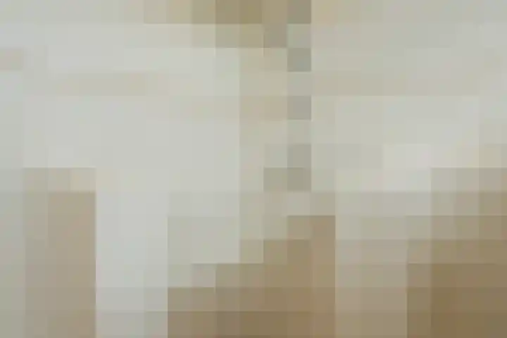 Kon.Julianalaan 93 Nieuwleusen thumbnail 20