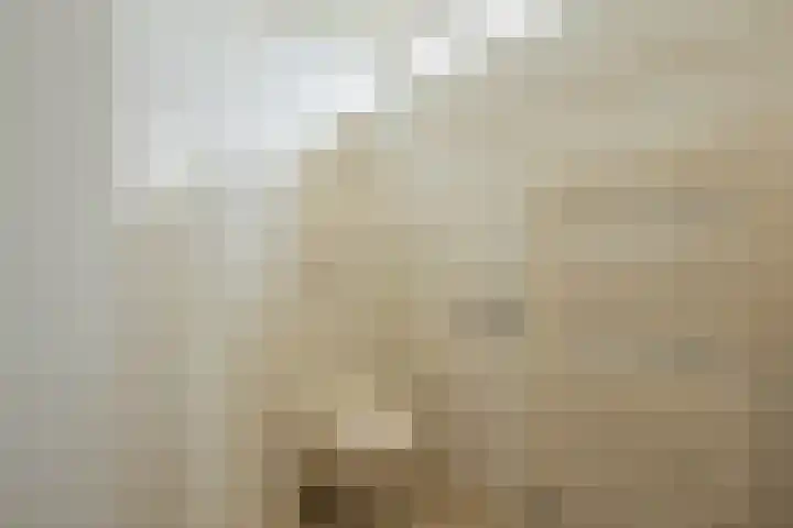 Kon.Julianalaan 93 Nieuwleusen thumbnail 21