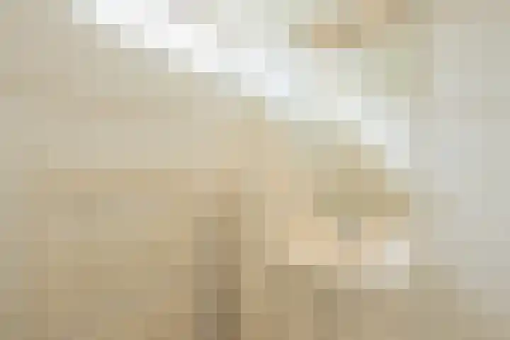 Kon.Julianalaan 93 Nieuwleusen thumbnail 22