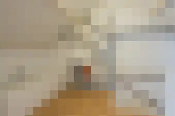 Kon.Julianalaan 93 Nieuwleusen thumbnail 28