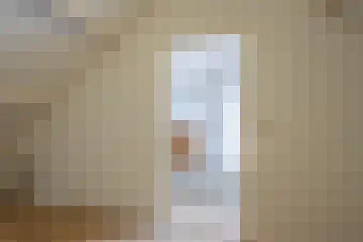Kon.Julianalaan 93 Nieuwleusen thumbnail 30