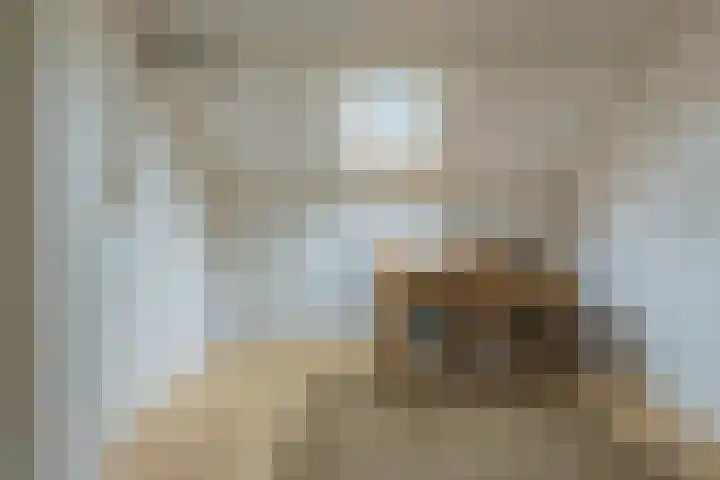 Kon.Julianalaan 93 Nieuwleusen thumbnail 32