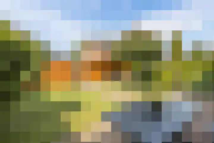 Kon.Julianalaan 93 Nieuwleusen thumbnail 34