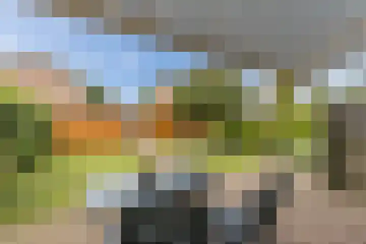 Kon.Julianalaan 93 Nieuwleusen thumbnail 35