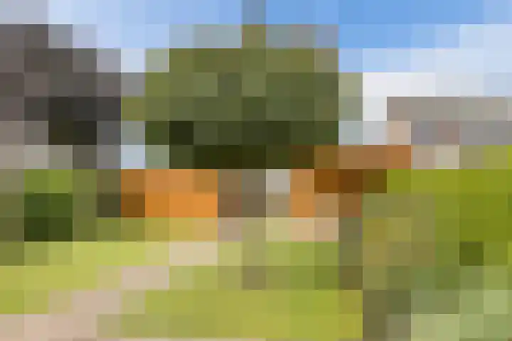 Kon.Julianalaan 93 Nieuwleusen thumbnail 36