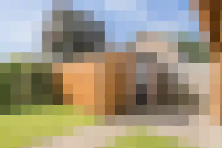 Kon.Julianalaan 93 Nieuwleusen thumbnail 37
