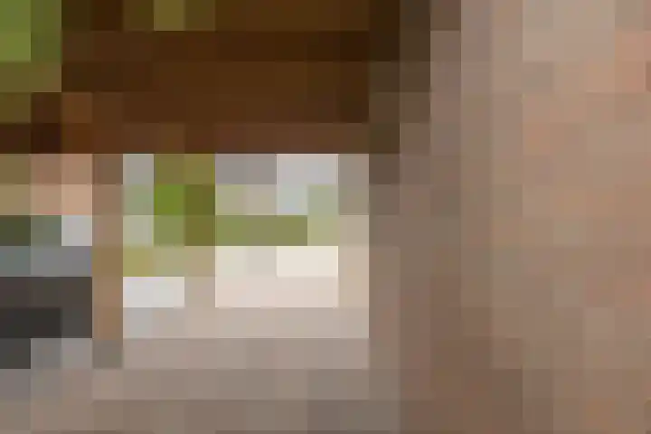 Kon.Julianalaan 93 Nieuwleusen thumbnail 41