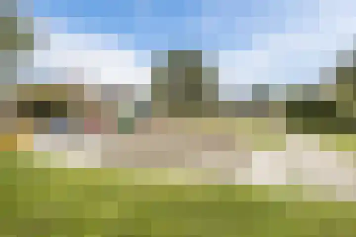 Kon.Julianalaan 93 Nieuwleusen thumbnail 42