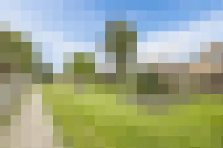 Kon.Julianalaan 93 Nieuwleusen thumbnail 43