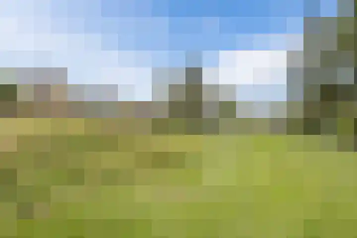 Kon.Julianalaan 93 Nieuwleusen thumbnail 44