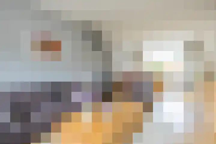 Kon.Julianalaan 93 Nieuwleusen thumbnail 8