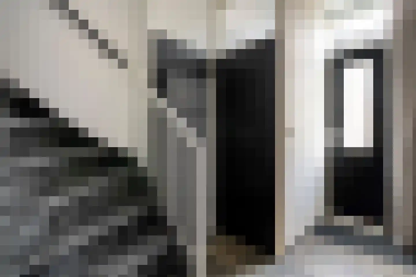 Kon.Julianalaan 97 Nieuwleusen thumbnail 12
