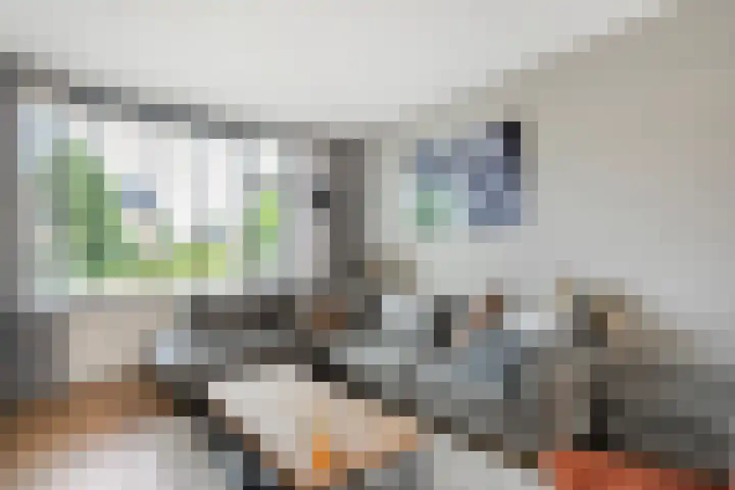 Kon.Julianalaan 97 Nieuwleusen thumbnail 14