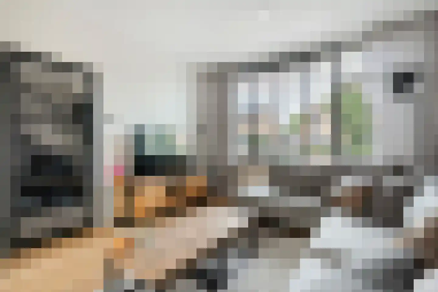 Kon.Julianalaan 97 Nieuwleusen thumbnail 15