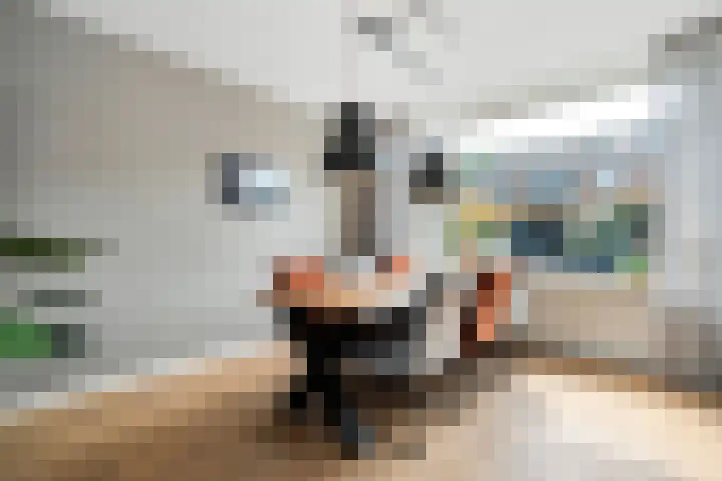 Kon.Julianalaan 97 Nieuwleusen thumbnail 16