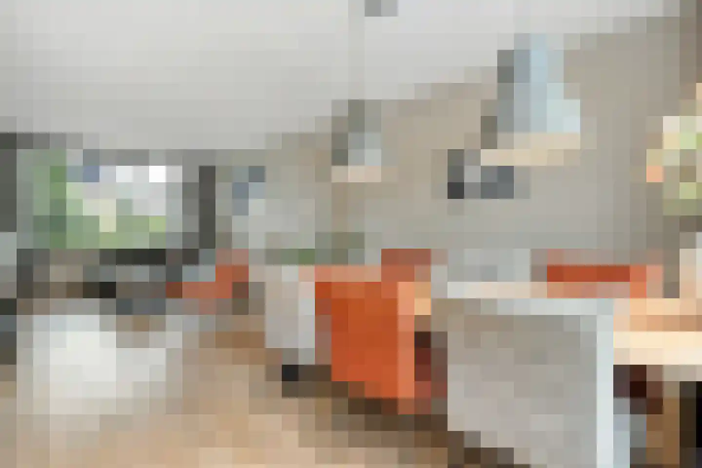 Kon.Julianalaan 97 Nieuwleusen thumbnail 20
