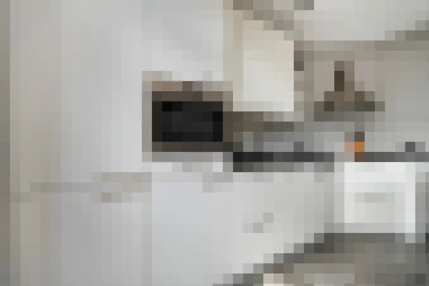 Kon.Julianalaan 97 Nieuwleusen thumbnail 21