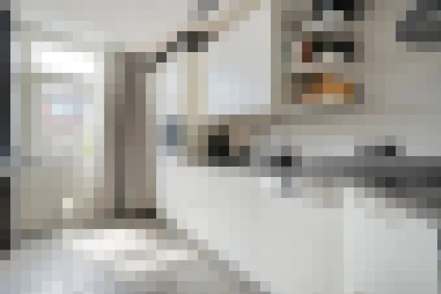 Kon.Julianalaan 97 Nieuwleusen thumbnail 22