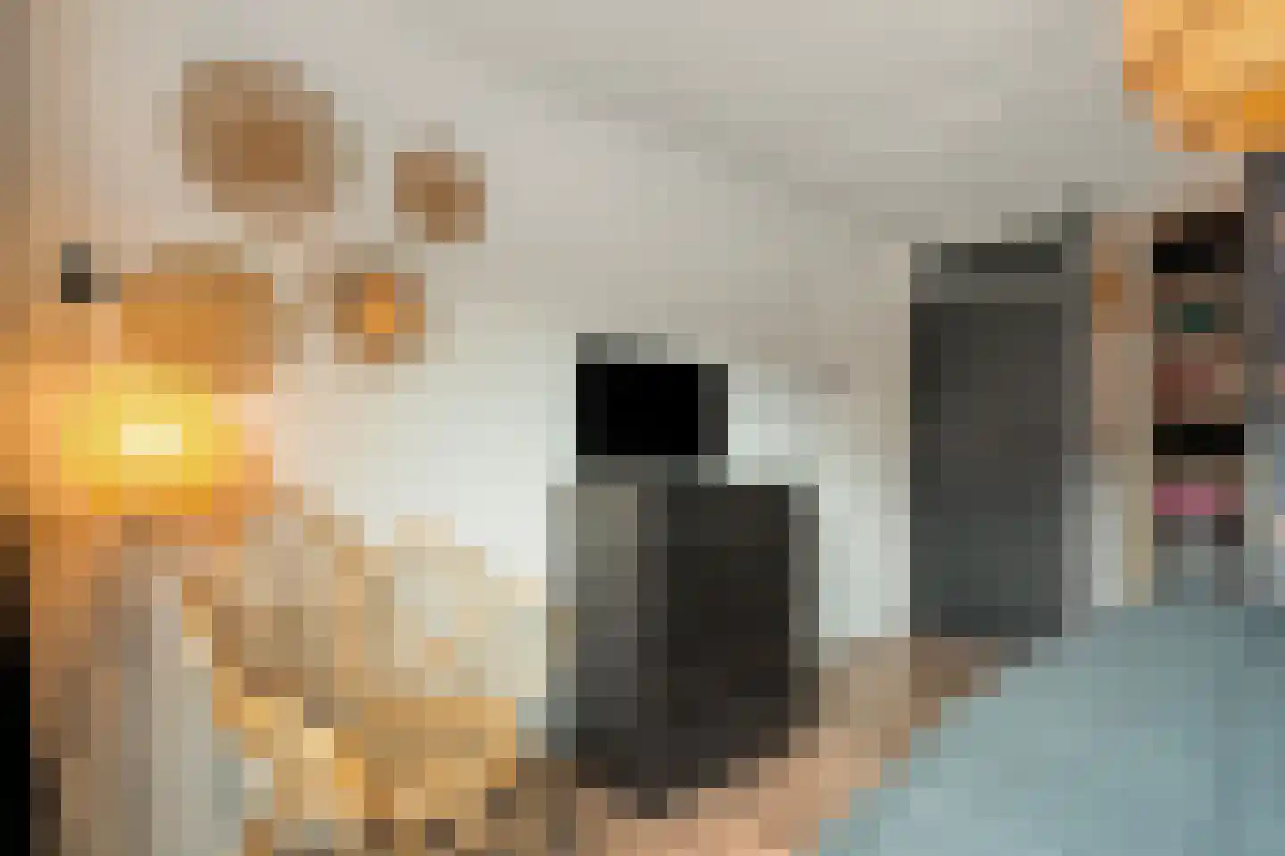Kon.Julianalaan 97 Nieuwleusen thumbnail 27