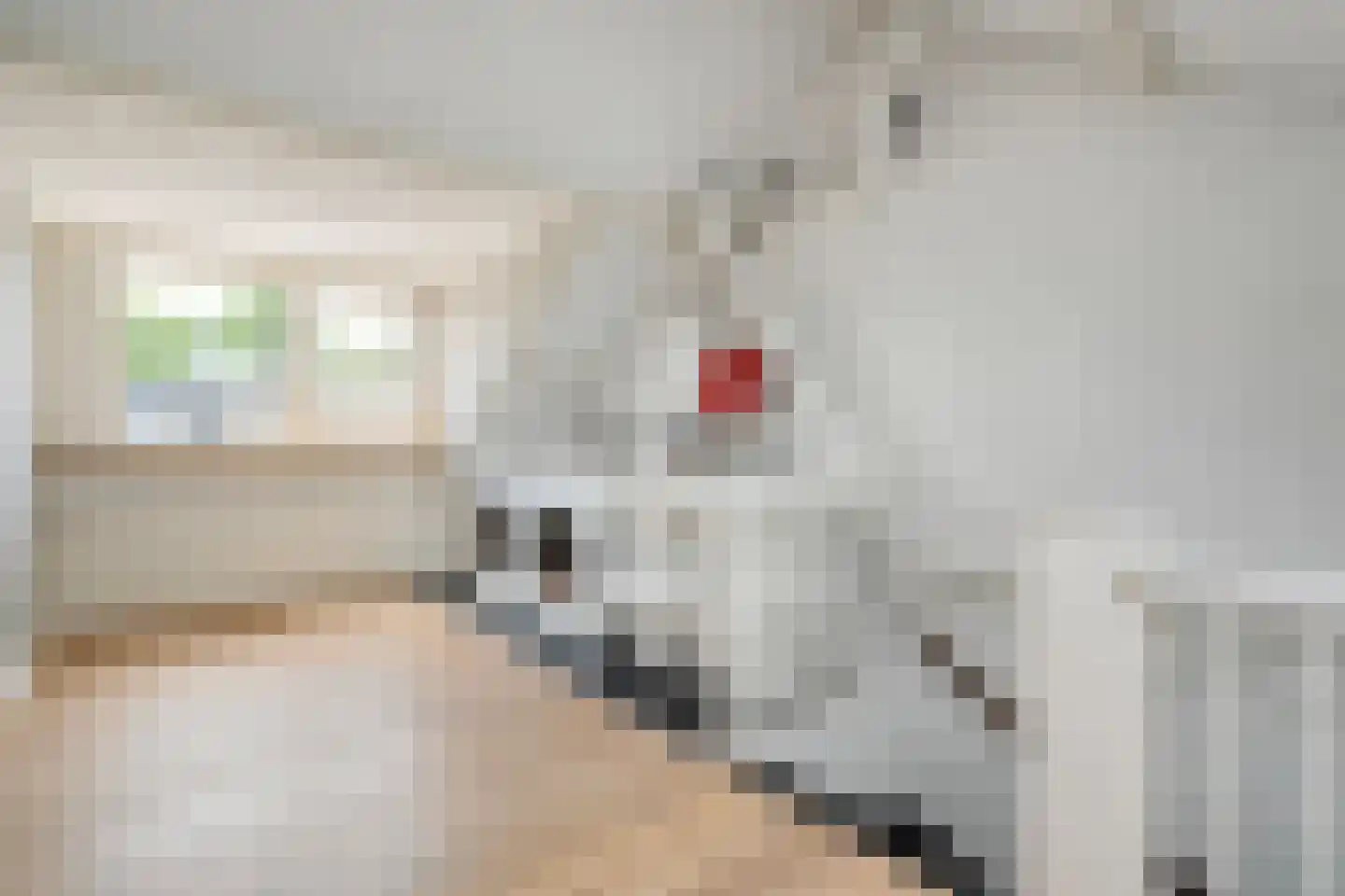 Kon.Julianalaan 97 Nieuwleusen thumbnail 34