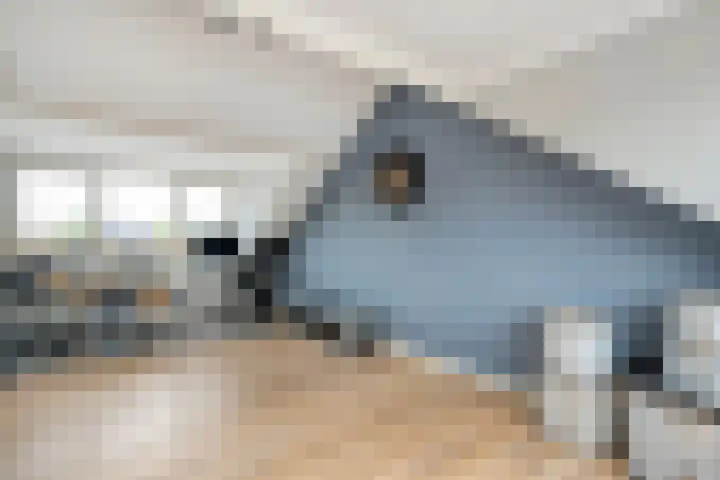 Kon.Julianalaan 97 Nieuwleusen thumbnail 36