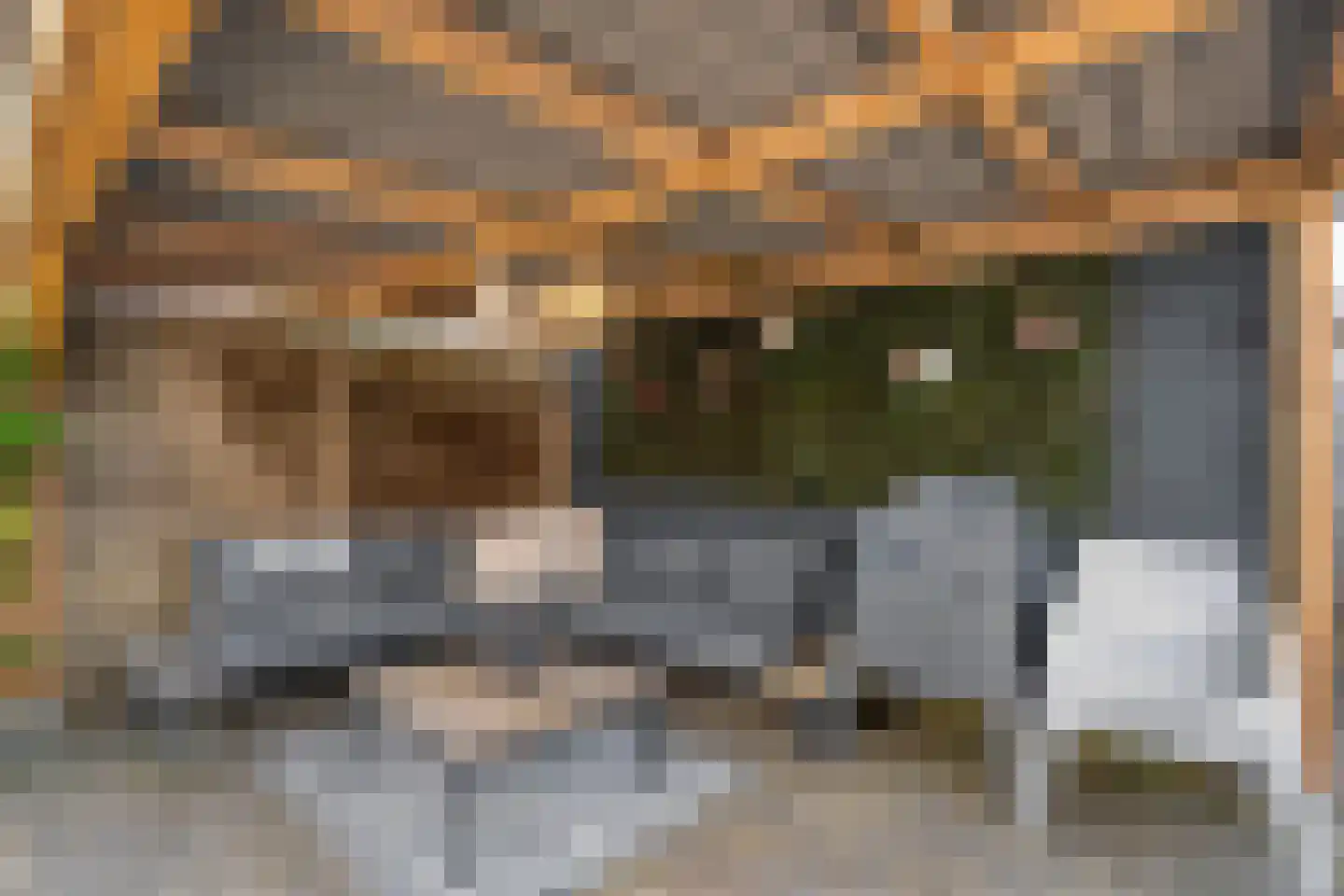 Kon.Julianalaan 97 Nieuwleusen thumbnail 38