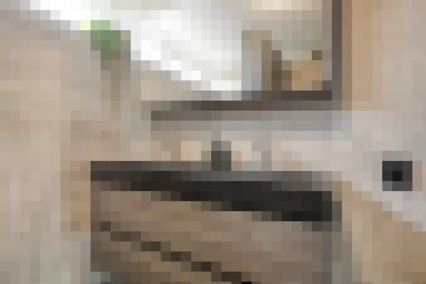 Kon.Julianalaan 97 Nieuwleusen thumbnail 4