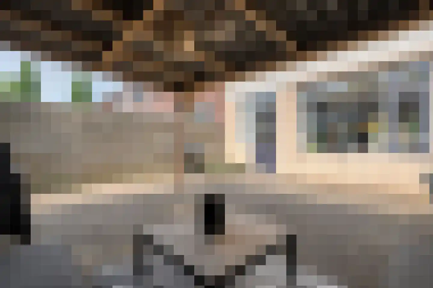 Kon.Julianalaan 97 Nieuwleusen thumbnail 40