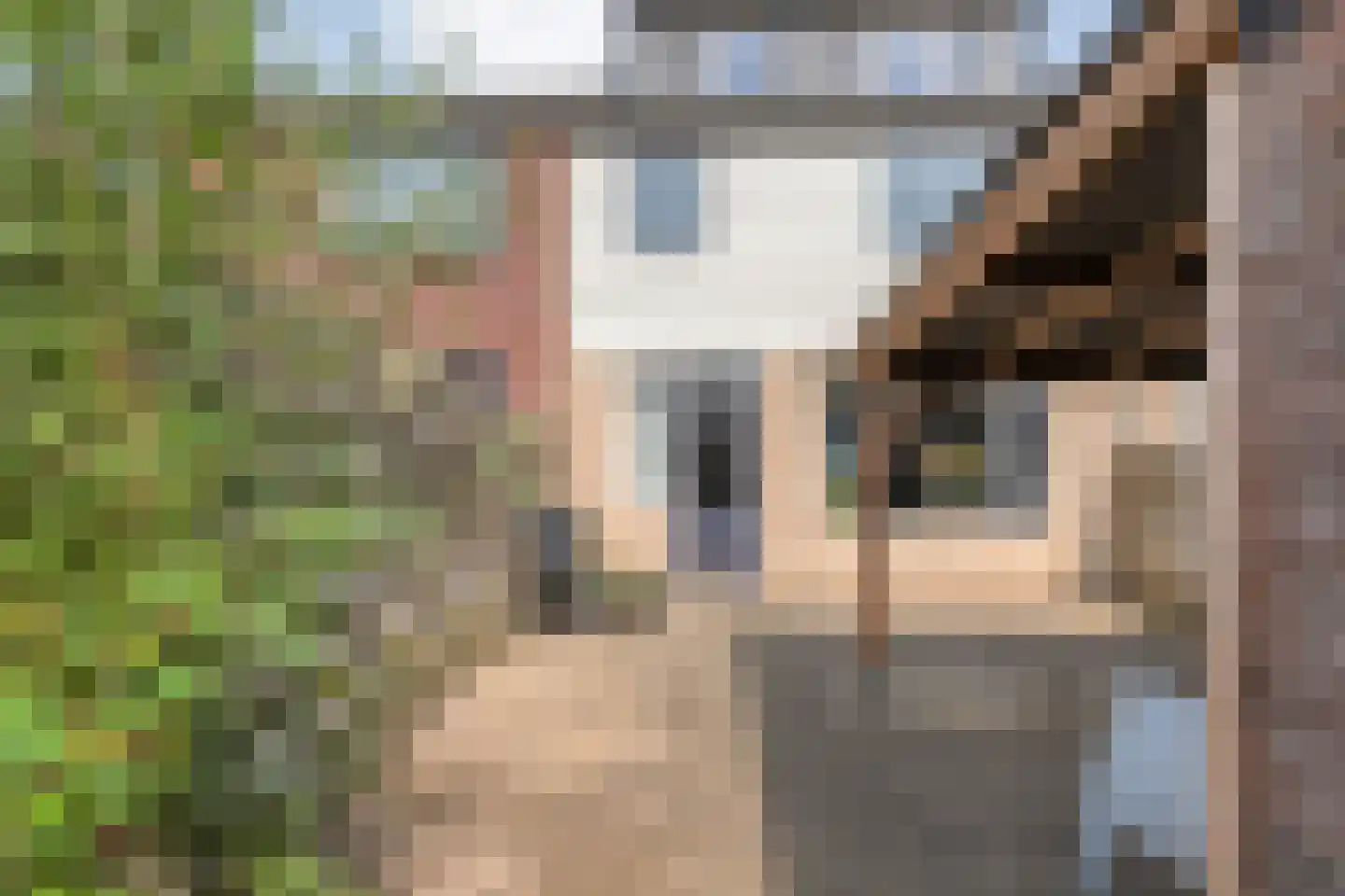 Kon.Julianalaan 97 Nieuwleusen thumbnail 42