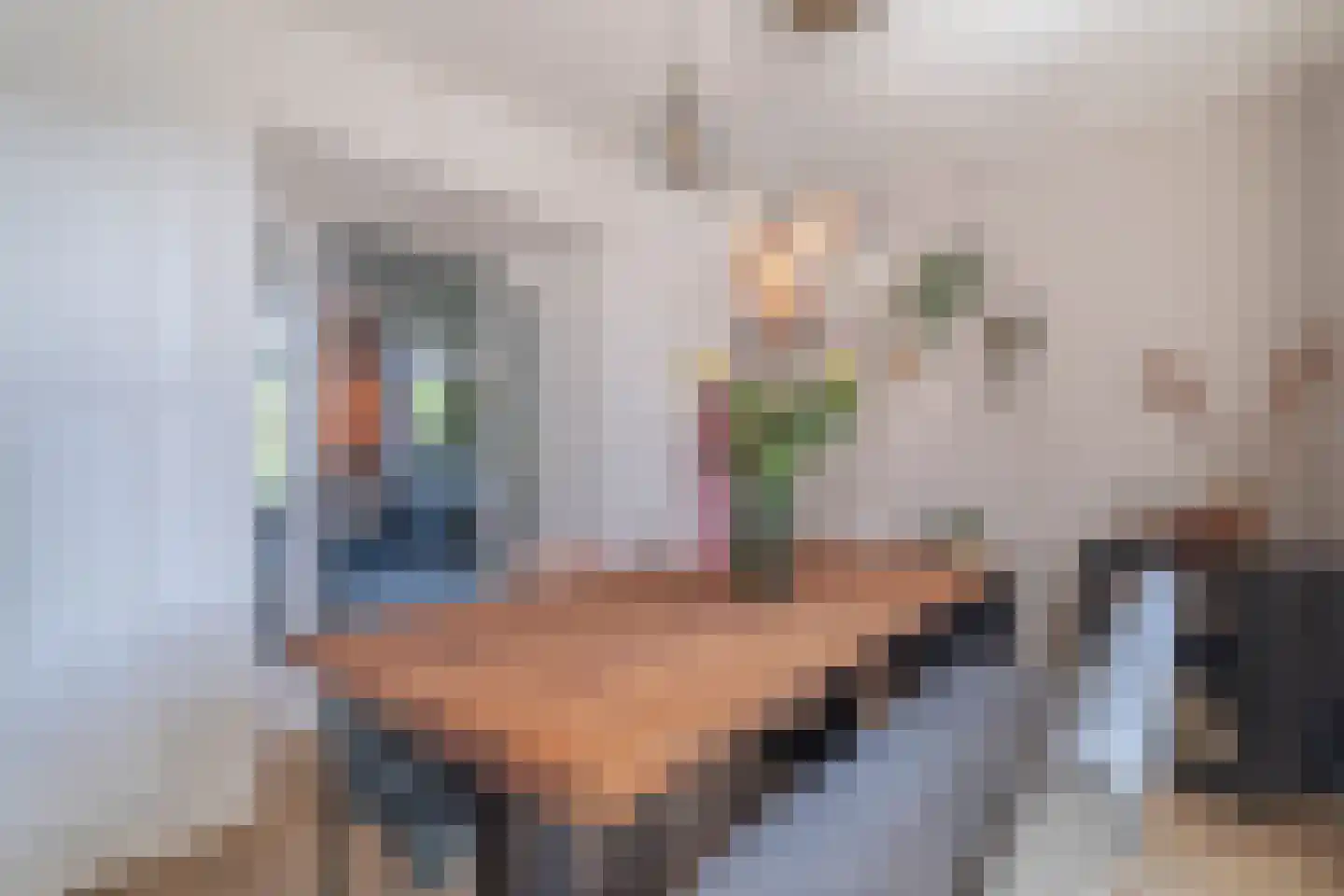 Kon Julianastraat 15 Yerseke thumbnail 15