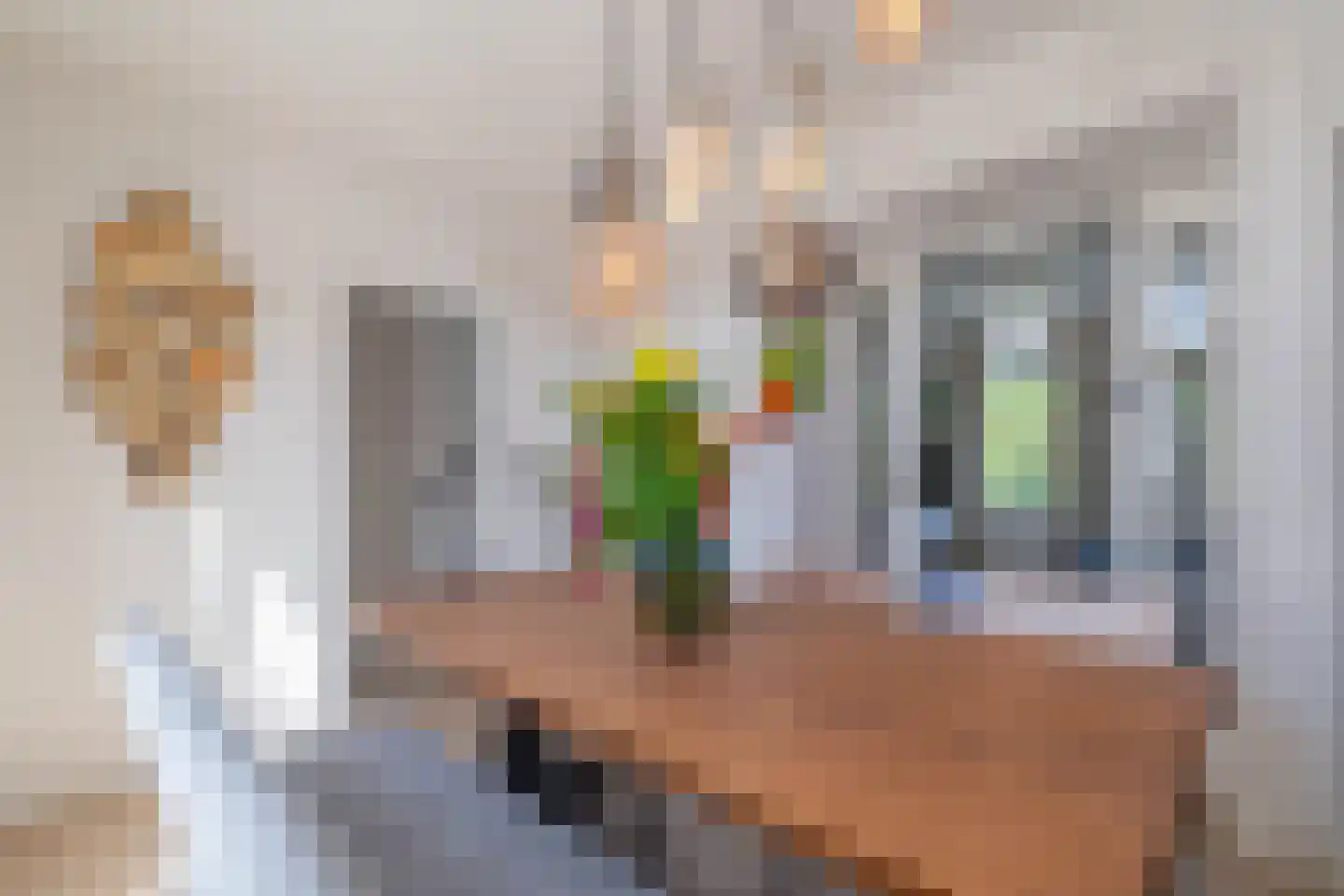 Kon Julianastraat 15 Yerseke thumbnail 16