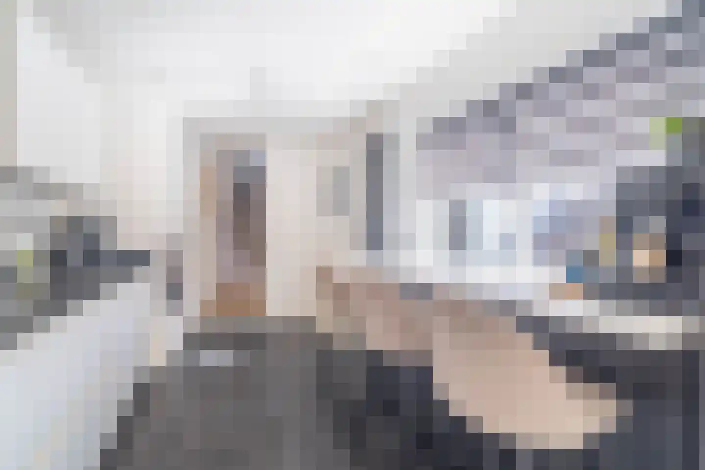 Kon Julianastraat 15 Yerseke thumbnail 20