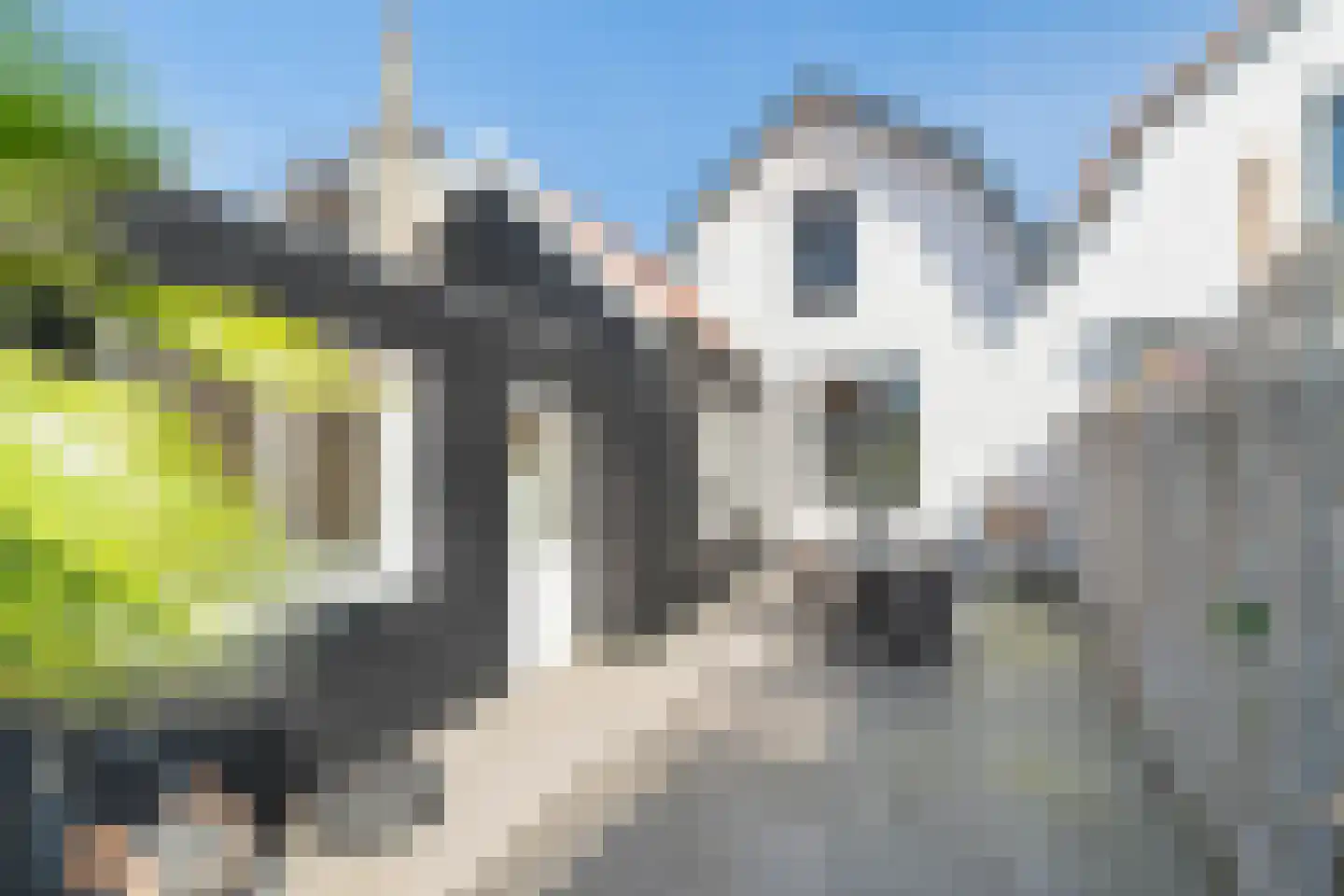 Kon Julianastraat 15 Yerseke thumbnail 36