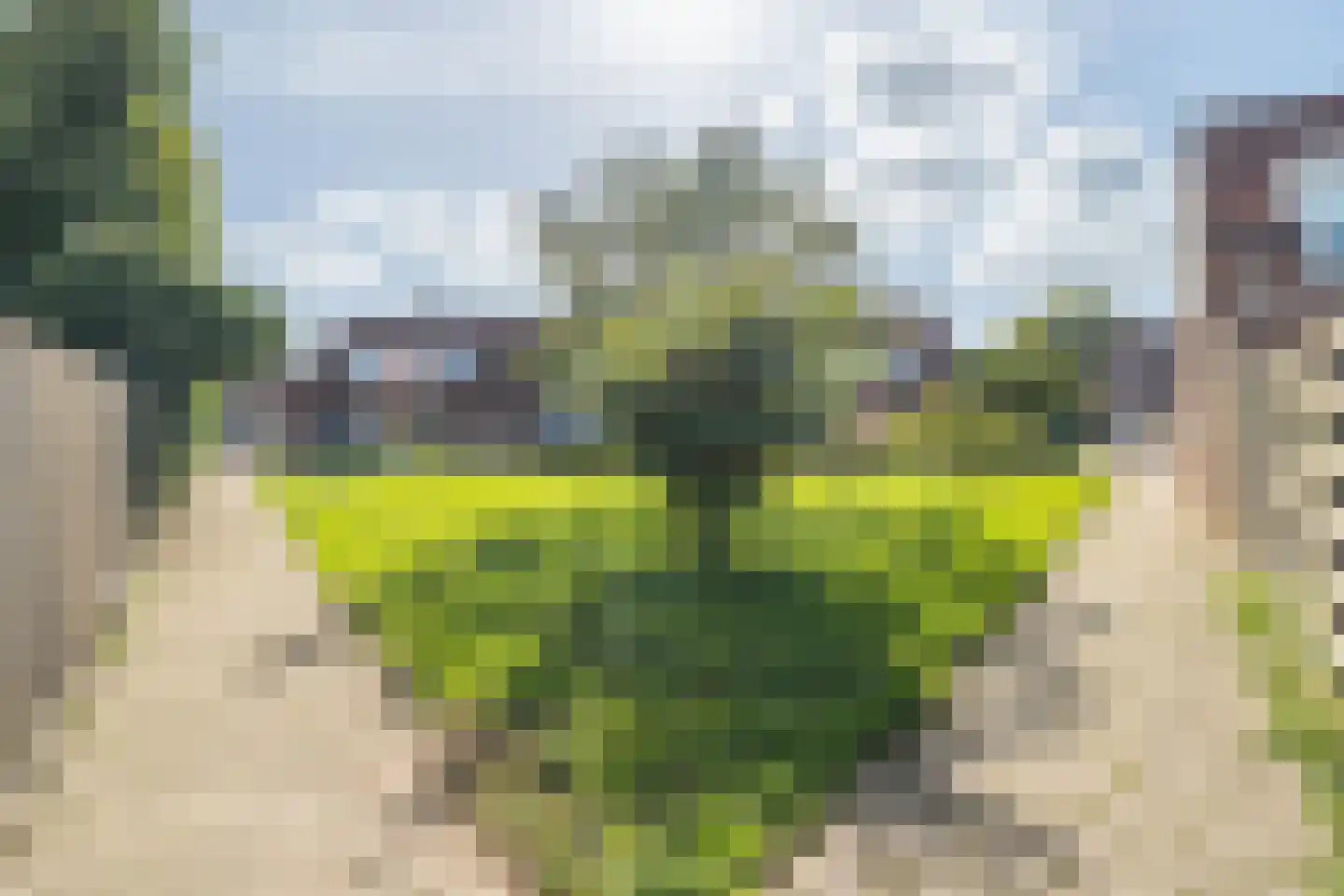 Kon Julianastraat 15 Yerseke thumbnail 43