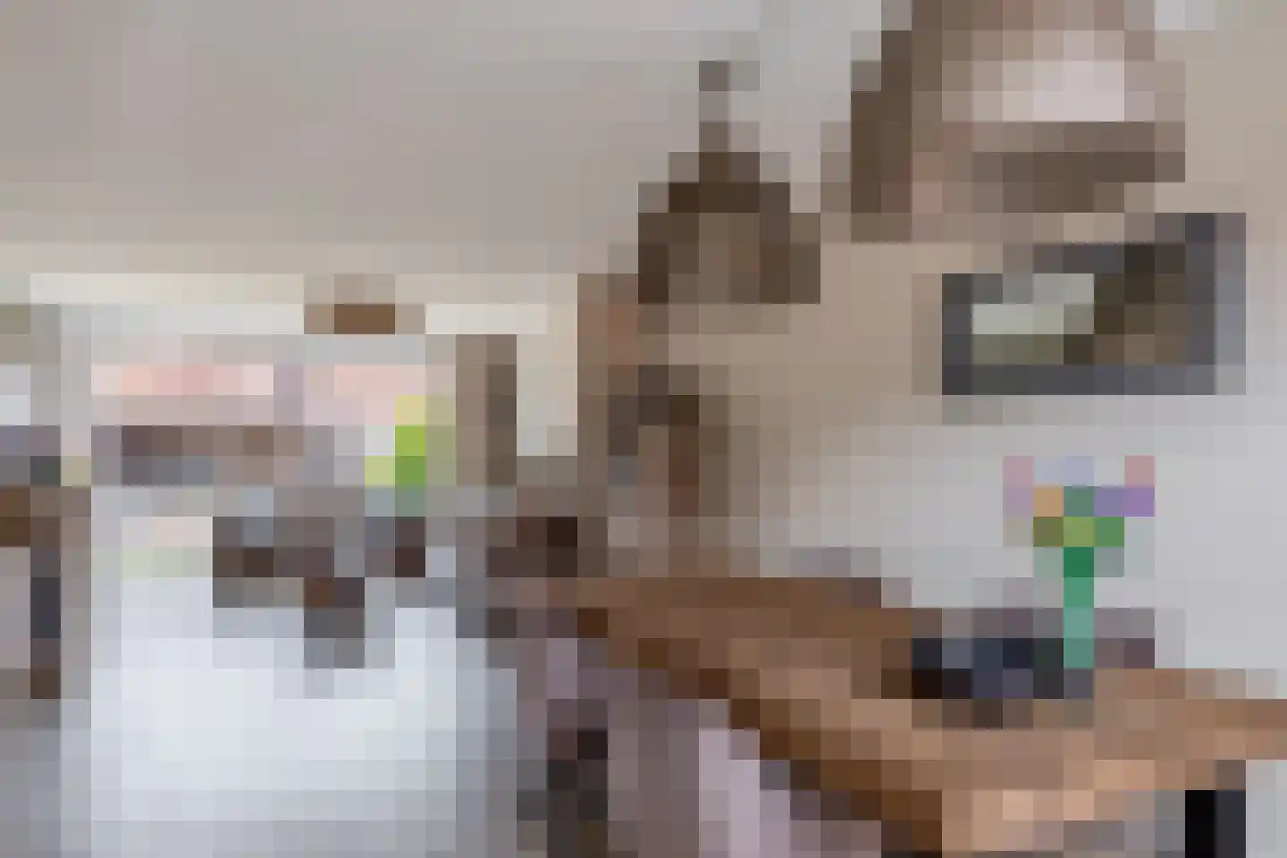 Kon Julianastraat 18 Nieuwerkerk aan den IJssel thumbnail 10