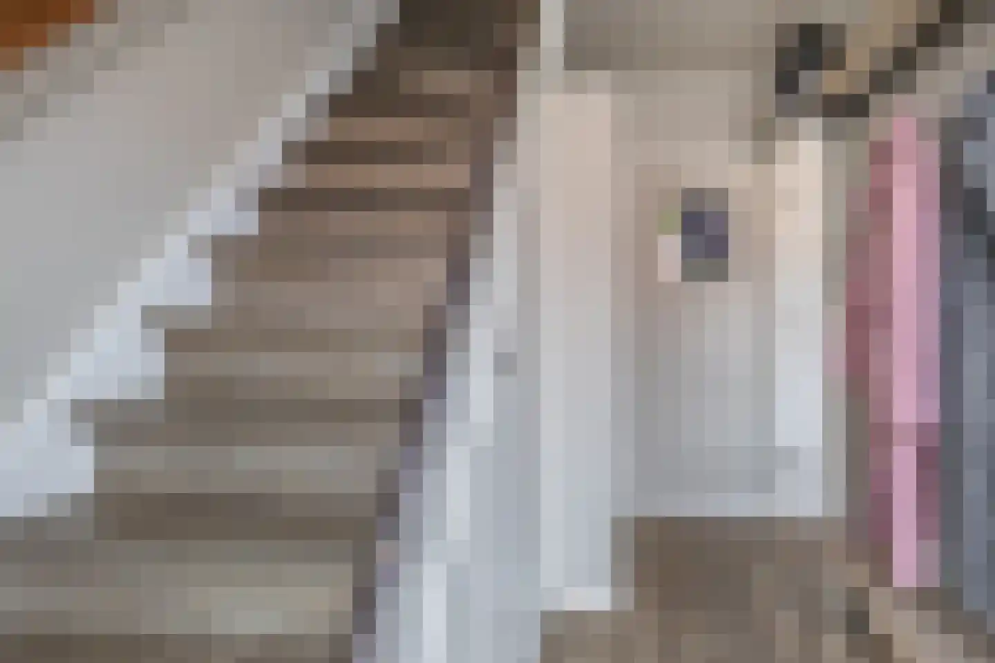 Kon Julianastraat 18 Nieuwerkerk aan den IJssel thumbnail 5