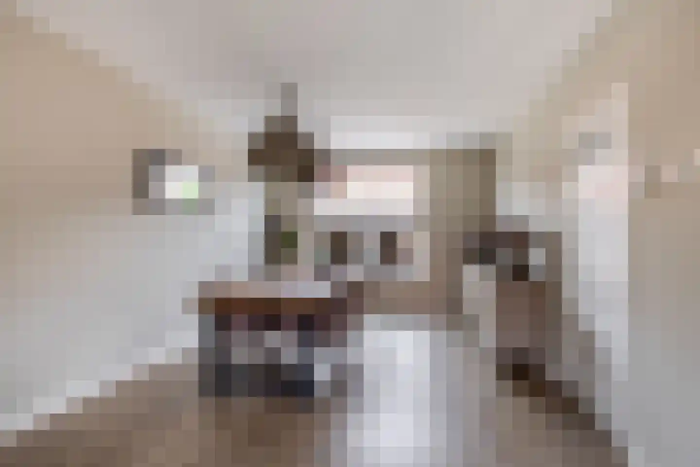 Kon Julianastraat 18 Nieuwerkerk aan den IJssel thumbnail 9