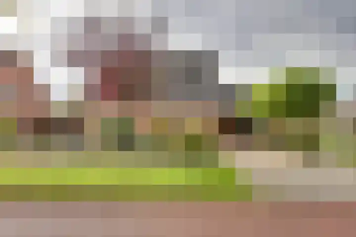 Kon.Wilhelminalaan 27 C Nieuwleusen