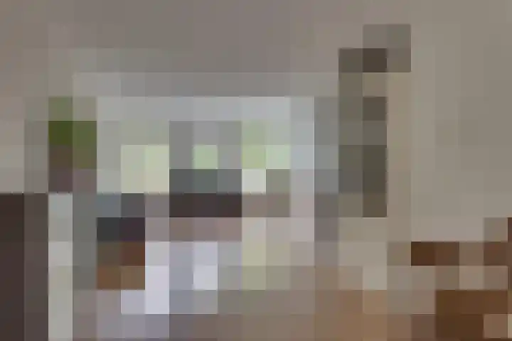 Kon.Wilhelminalaan 27 C Nieuwleusen thumbnail 11