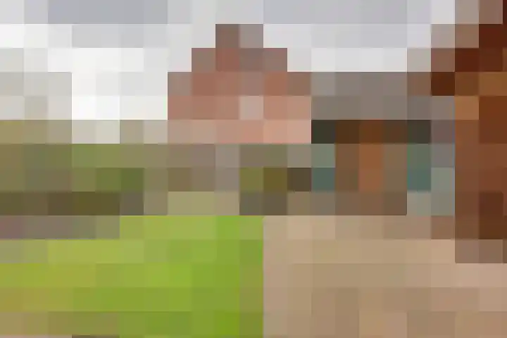 Kon.Wilhelminalaan 27 C Nieuwleusen thumbnail 37
