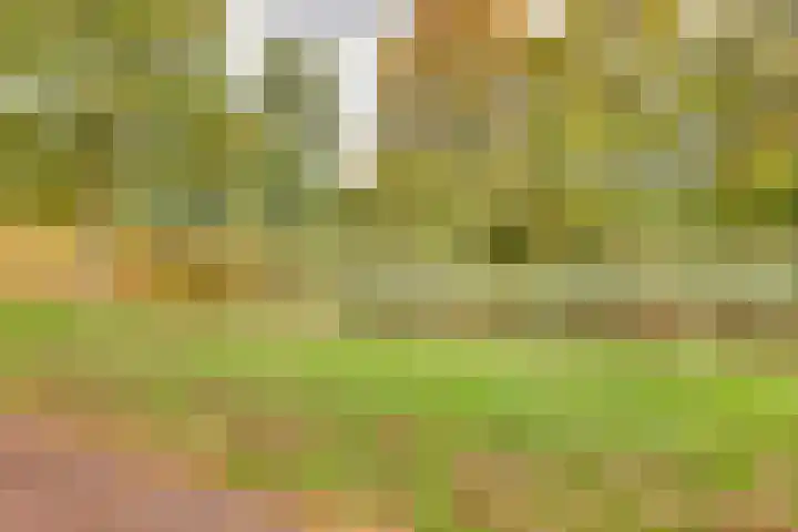 Kon.Wilhelminalaan 27 C Nieuwleusen thumbnail 47